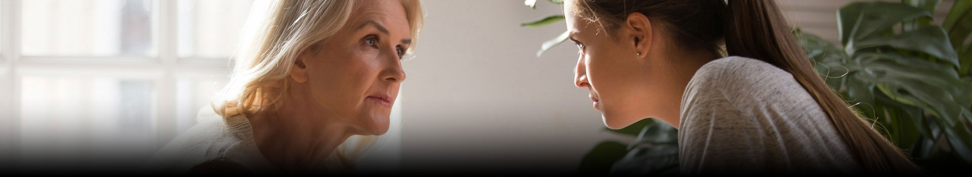 Understanding The Problem